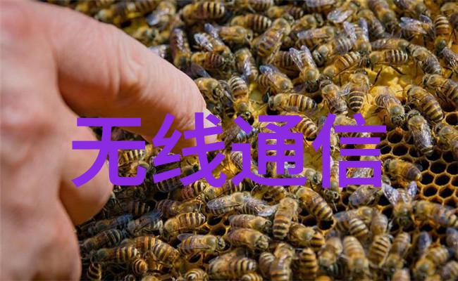 AI 机器视觉出圈之路技术驱动与行业深耕